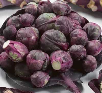Brussel Sprout Rosella